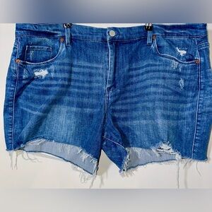 EUC BLANKNYC Denim Shorts (The Astor) - size‎ 22W